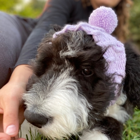 NWOT 2 XSL Knitted Dog Hats, Dog Snood (1 Pink/1 Lavender) - Picture 3 of 16